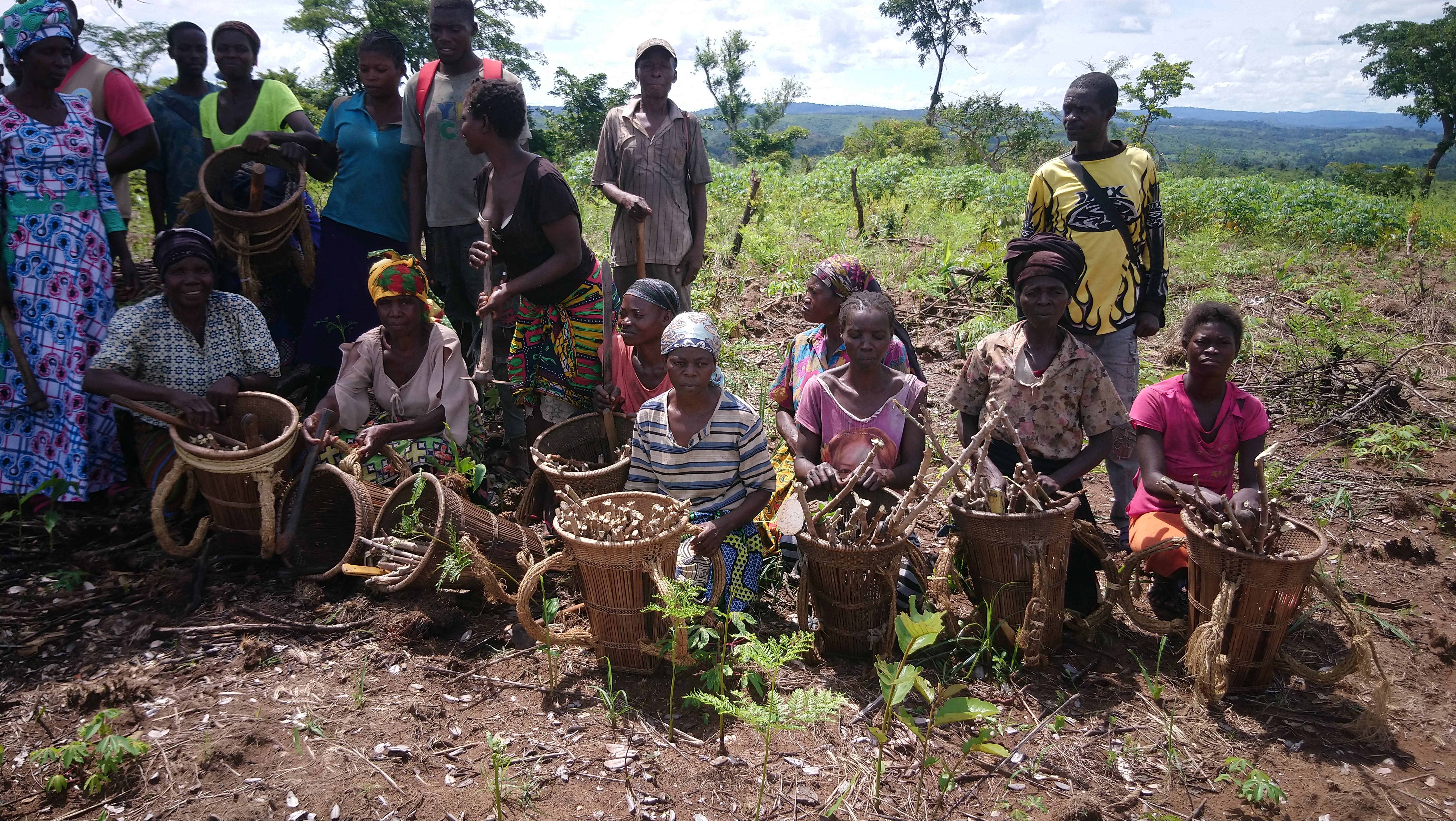 Imagem 2 do Departamento