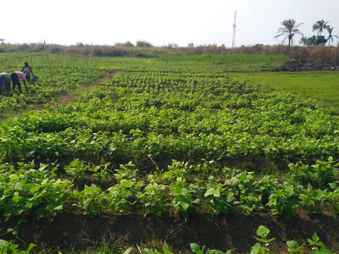 Imagem 4 do Departamento